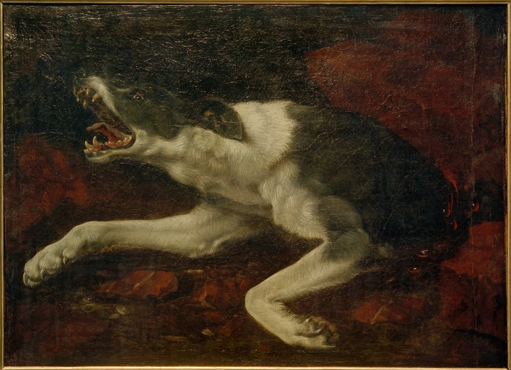 Cane ferito - Besançon, Musée Des Beaux, Arts Et D’archéologie